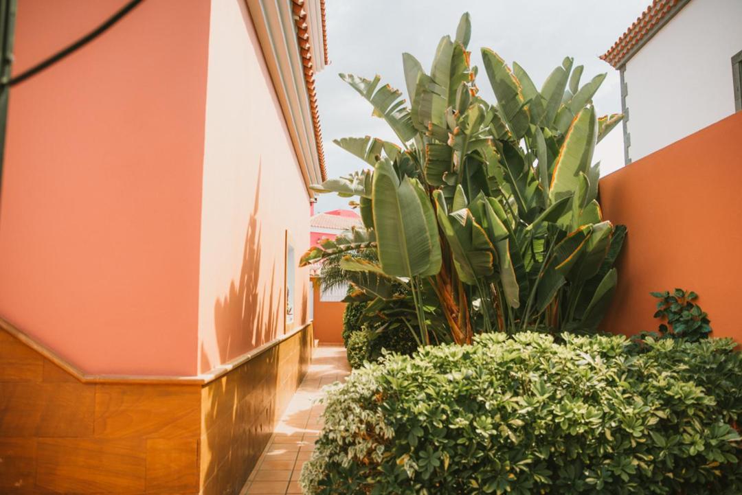 Villa Morada Sonneland Con Piscina Privada Climatizada 马斯帕洛马斯 外观 照片